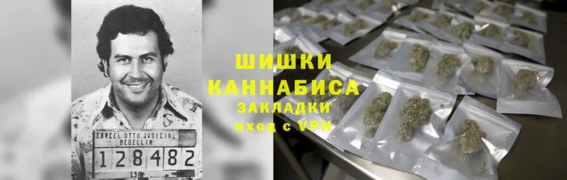 Бошки марихуана THC 21%  Вязьма 